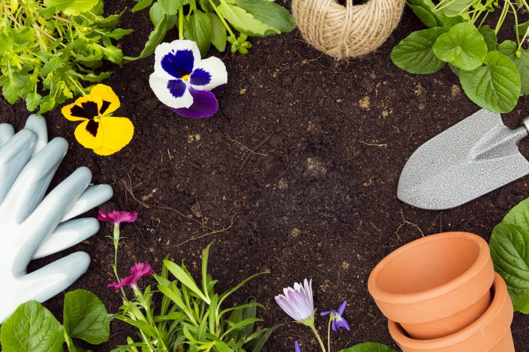 Wijktuin Edanz gaat door